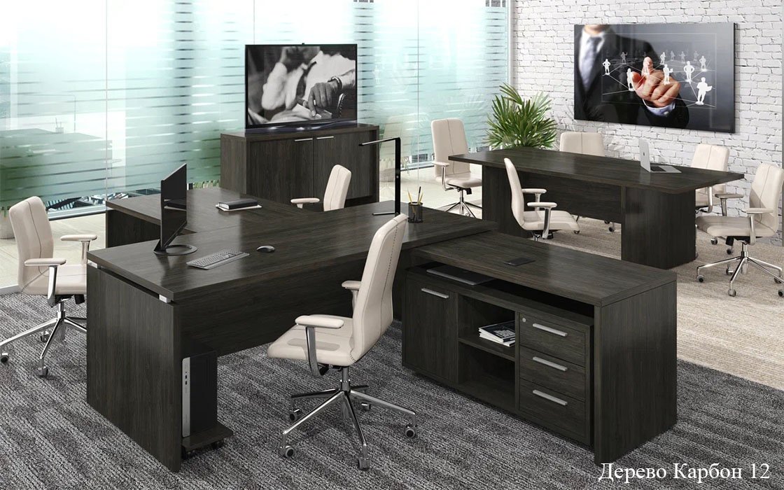 Кабинет руководителя «ДУБЛИН» - вид 4